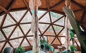 Bubble Suites